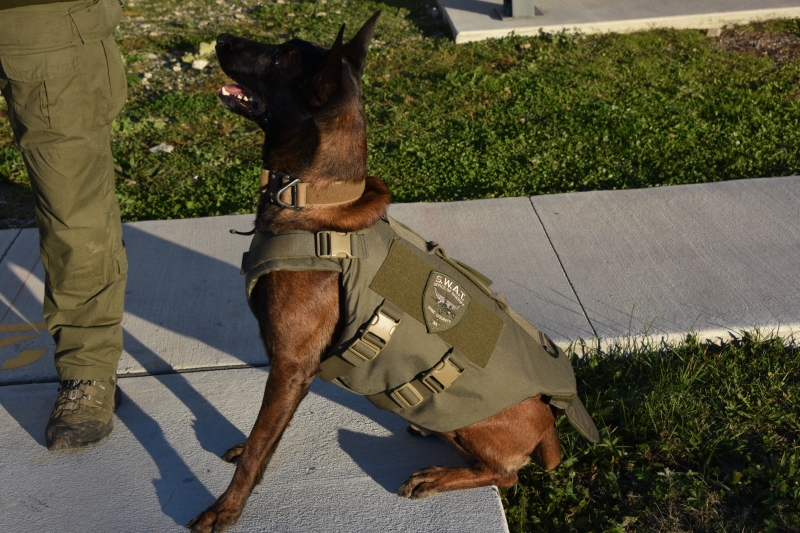 Erie County K9 Receives Bullet, Stab Protective Vest | Sheriff